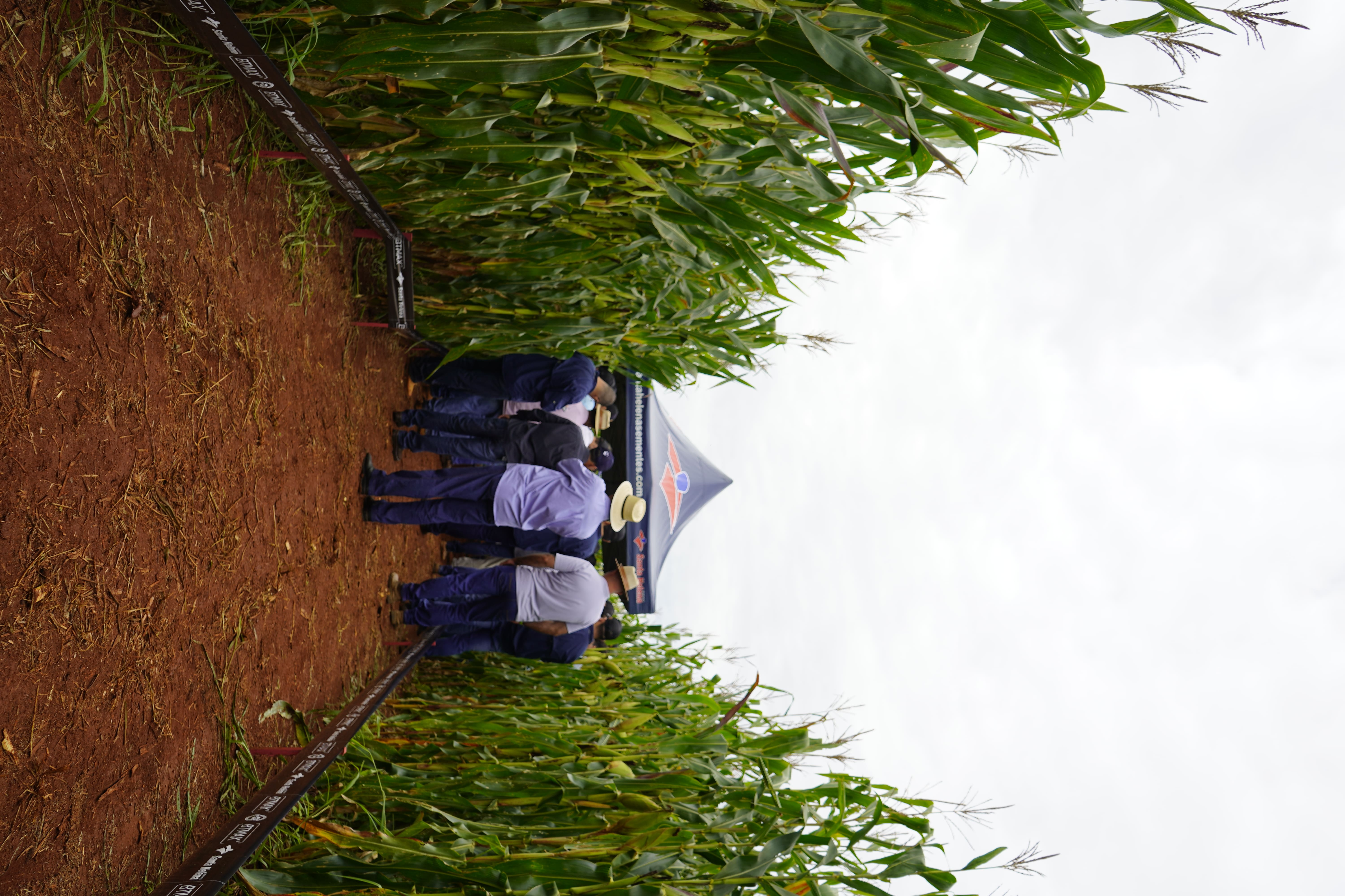 1° Dia de Campo - Foto 4