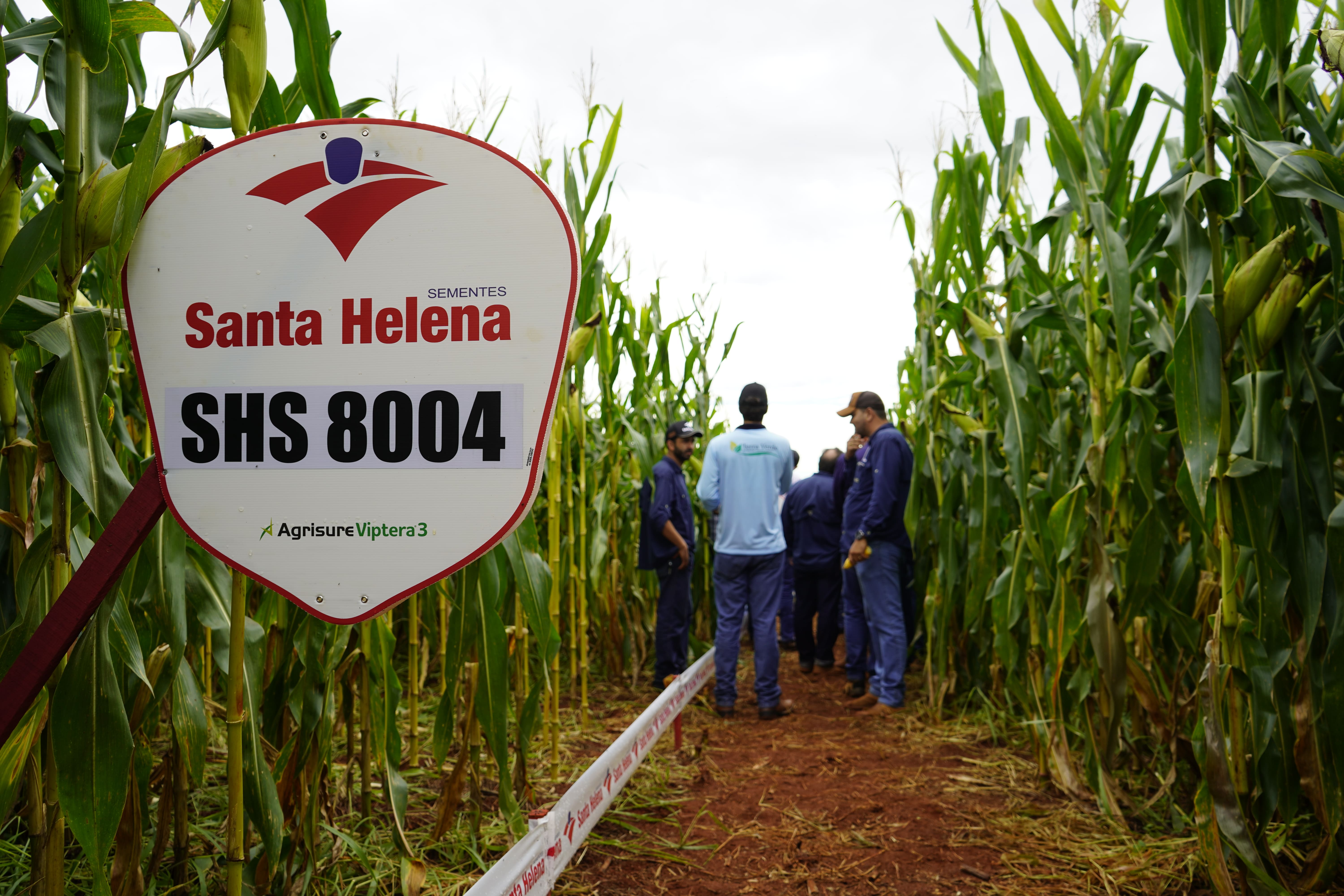 1° Dia de Campo - Foto 6