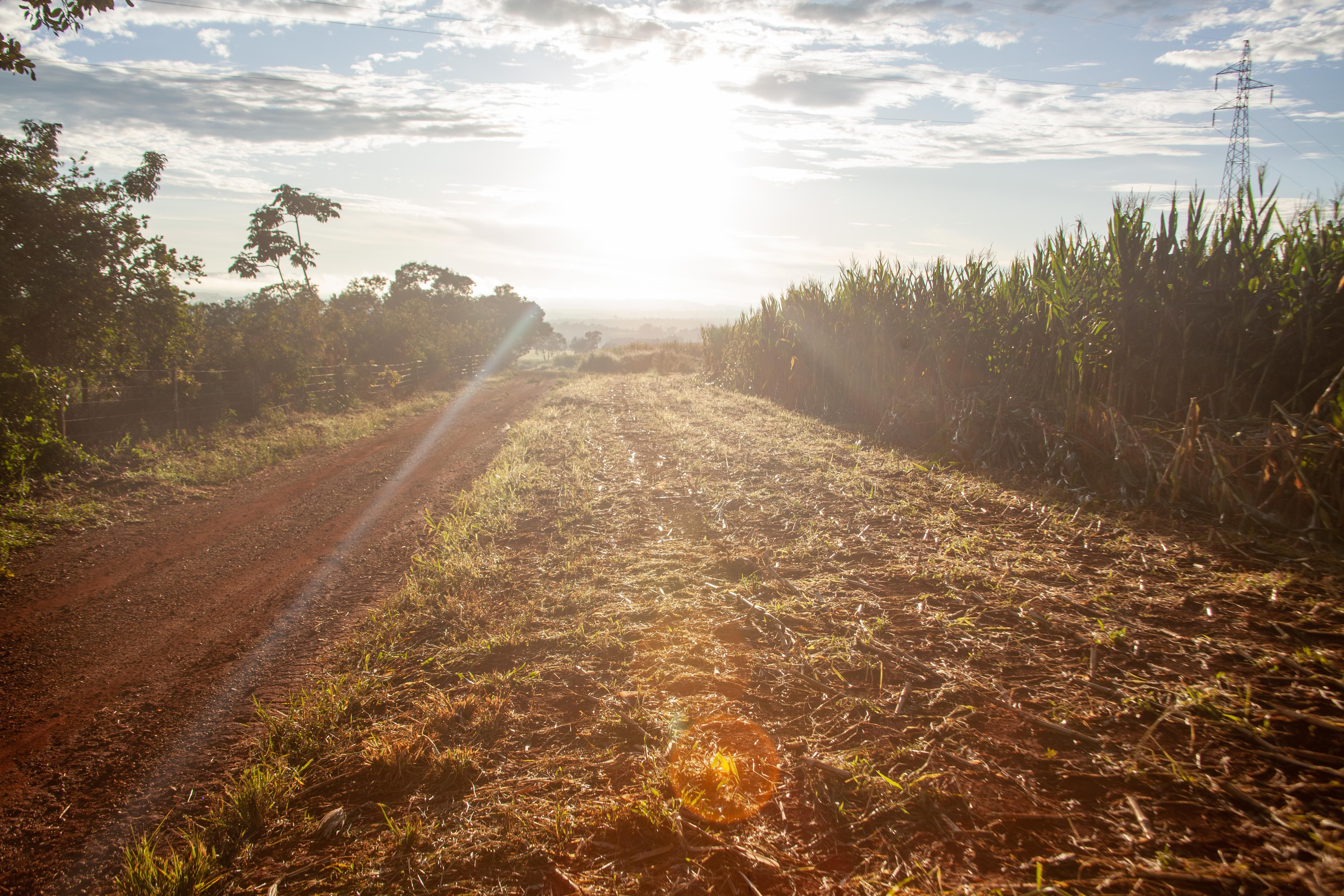 1° Dia de Campo - Foto 13