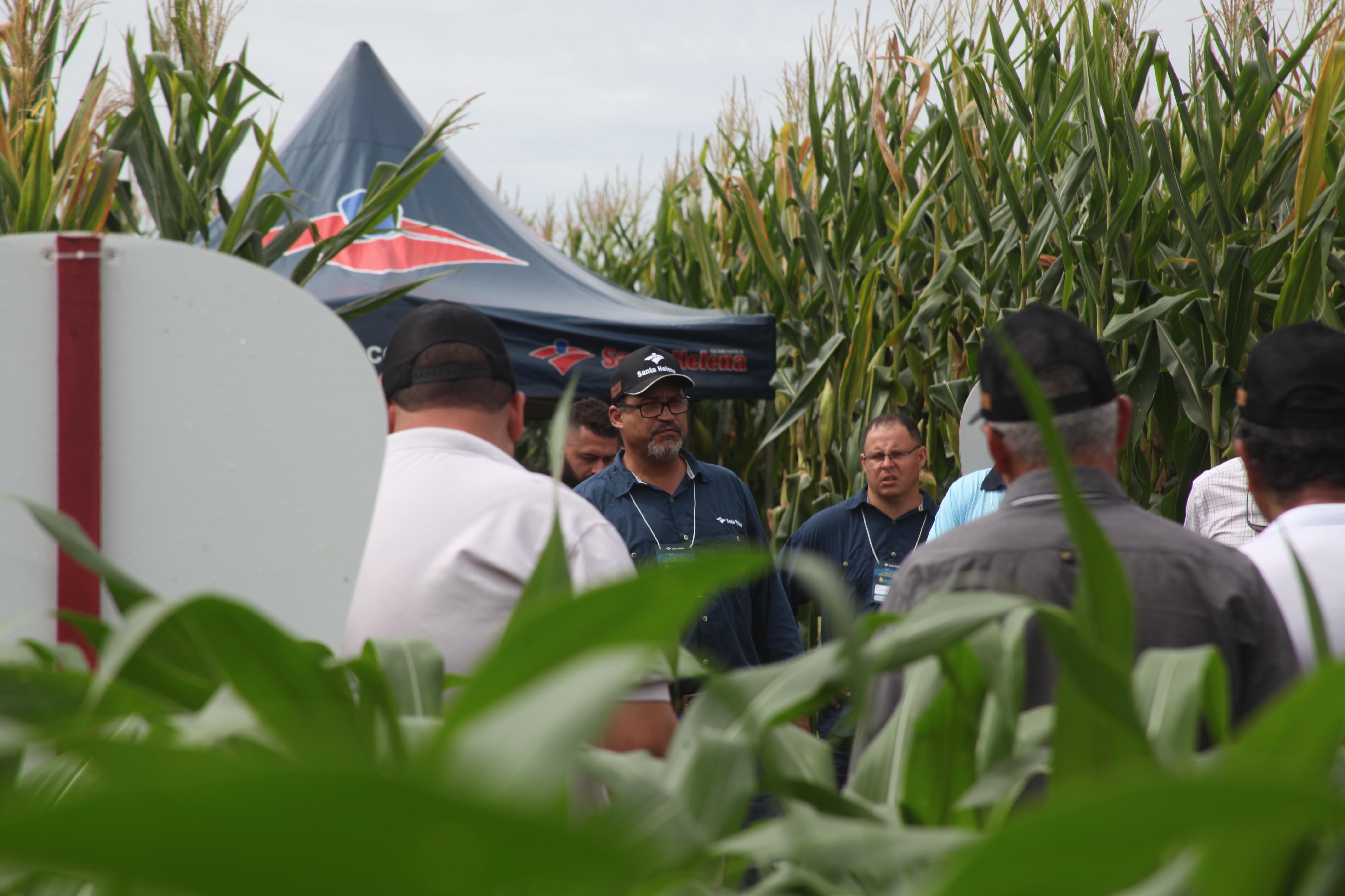 1° Dia de Campo - Foto 26