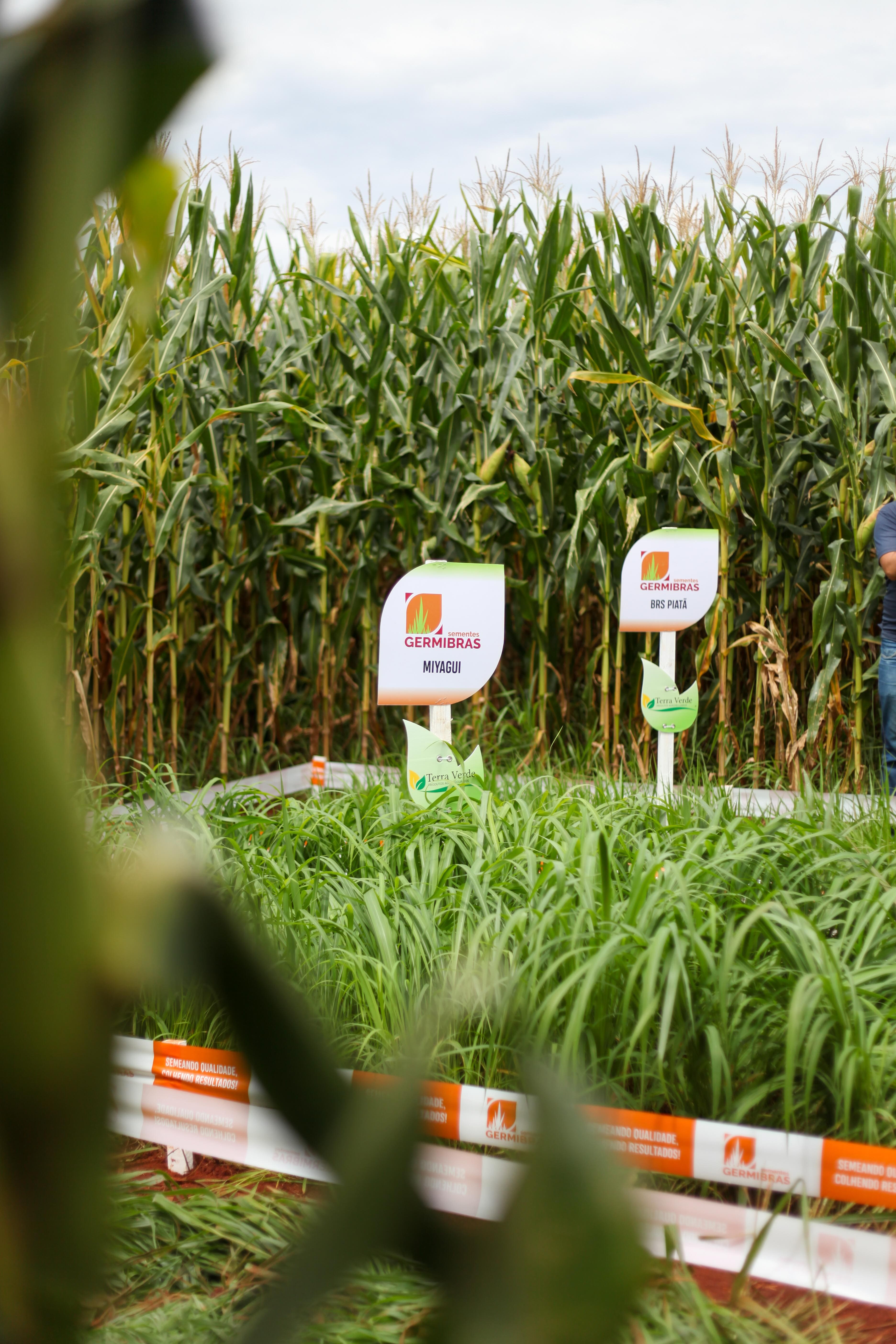 1° Dia de Campo - Foto 33